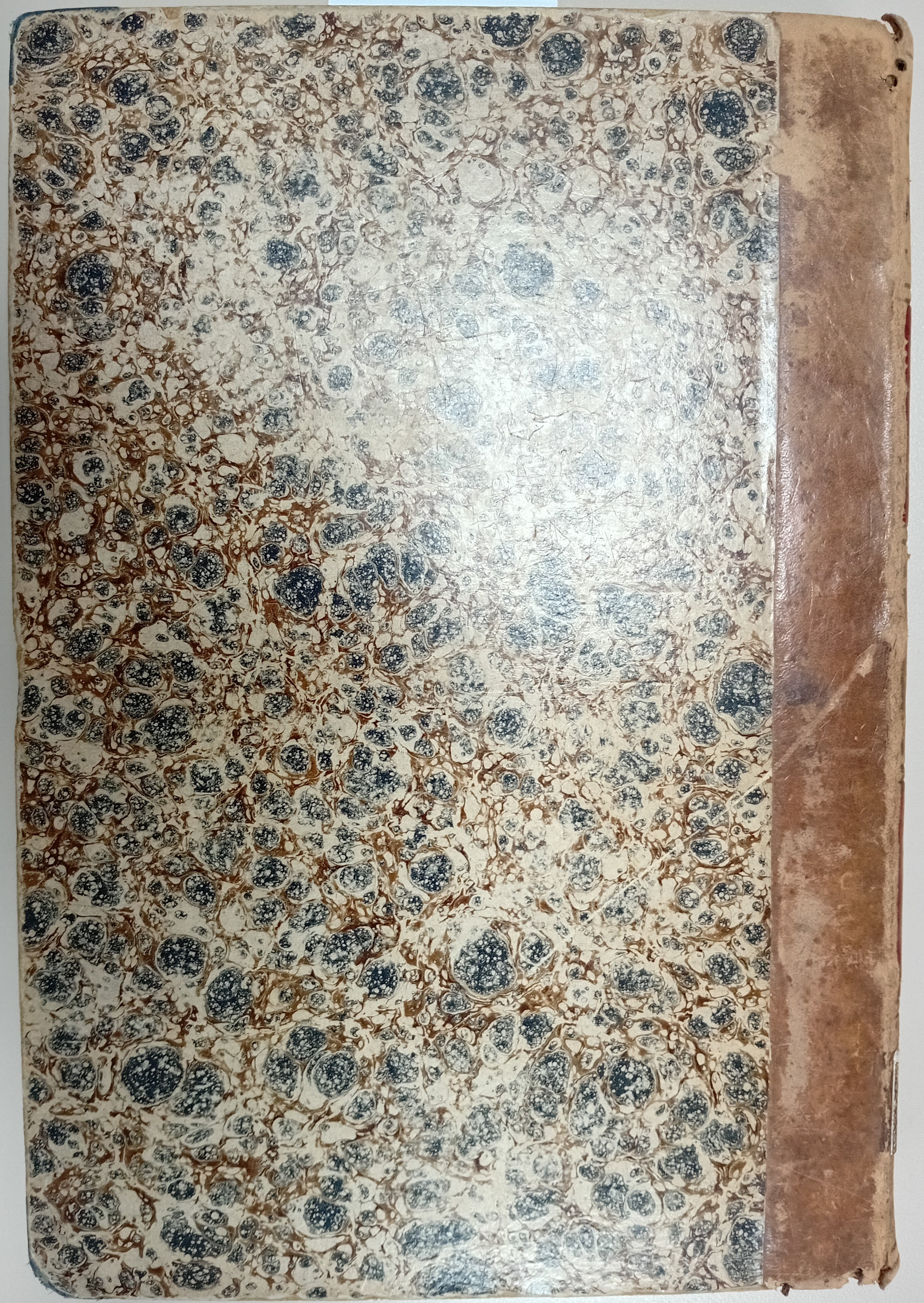 Cubierta [Posterior]