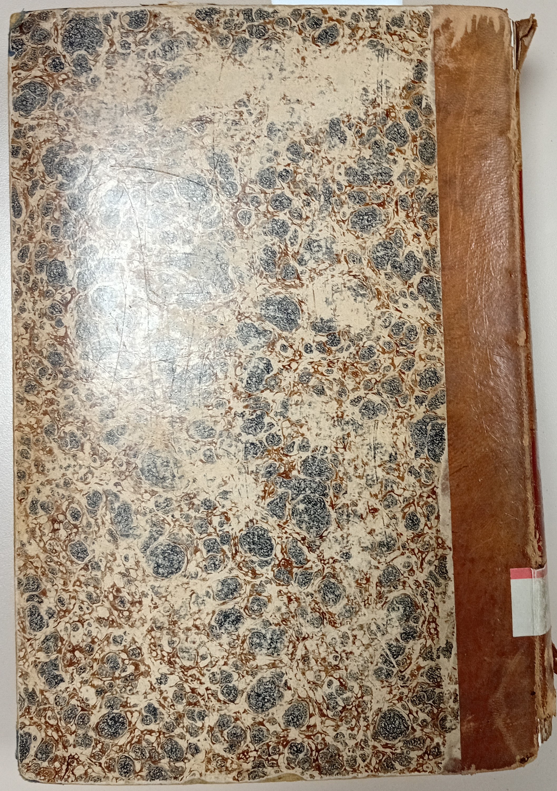 Cubierta [Posterior]