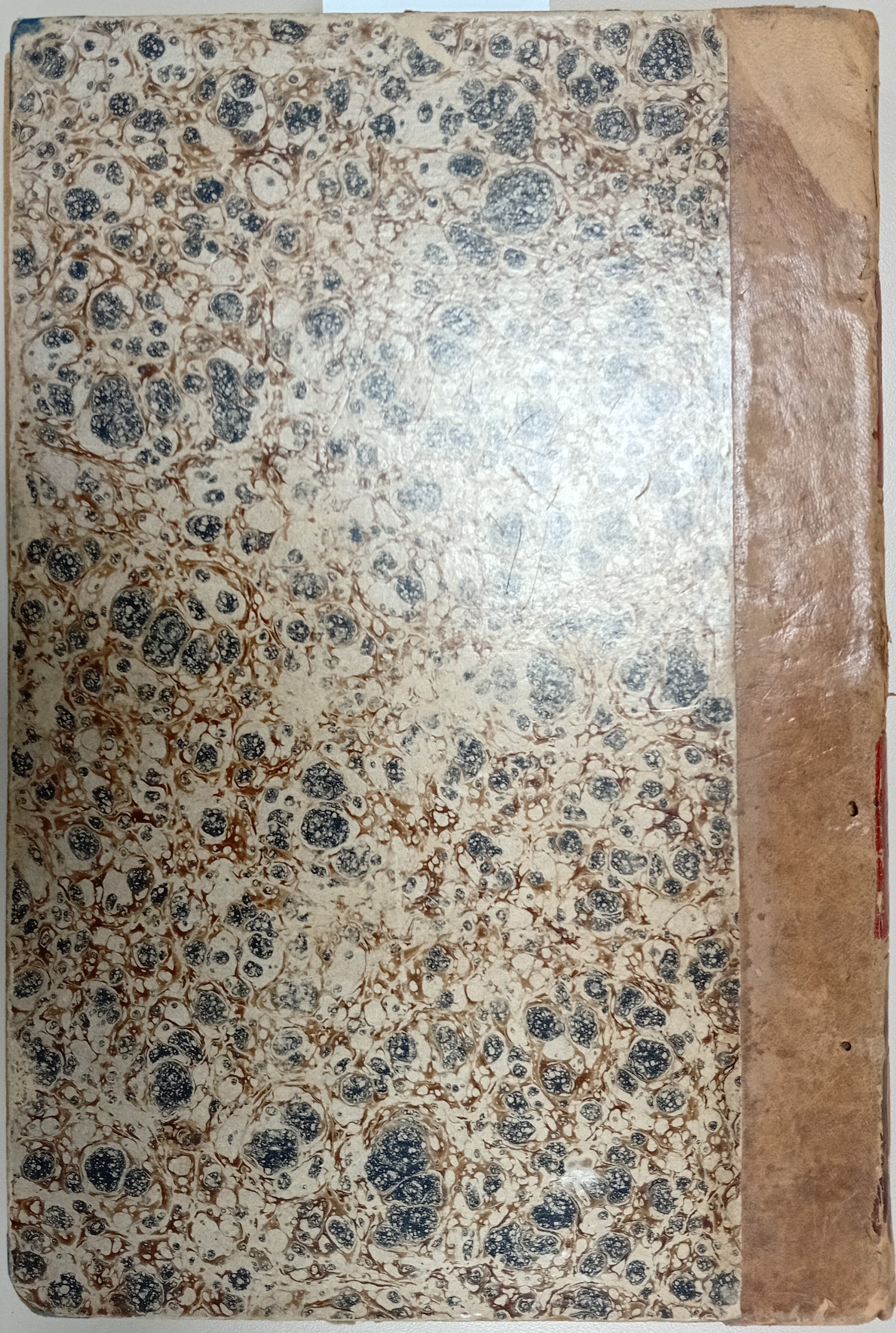 Cubierta [Posterior]