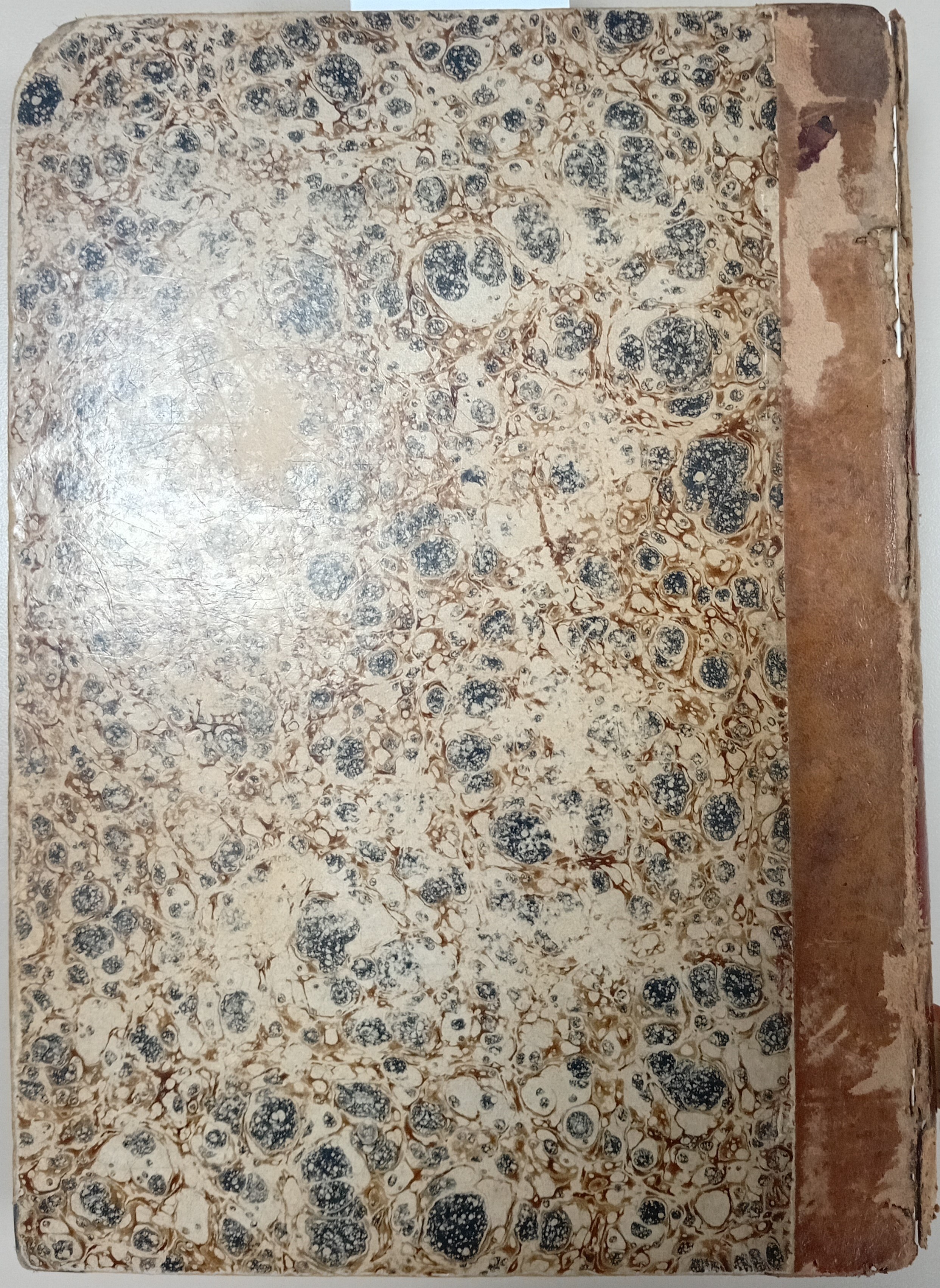 Cubierta [Posterior]