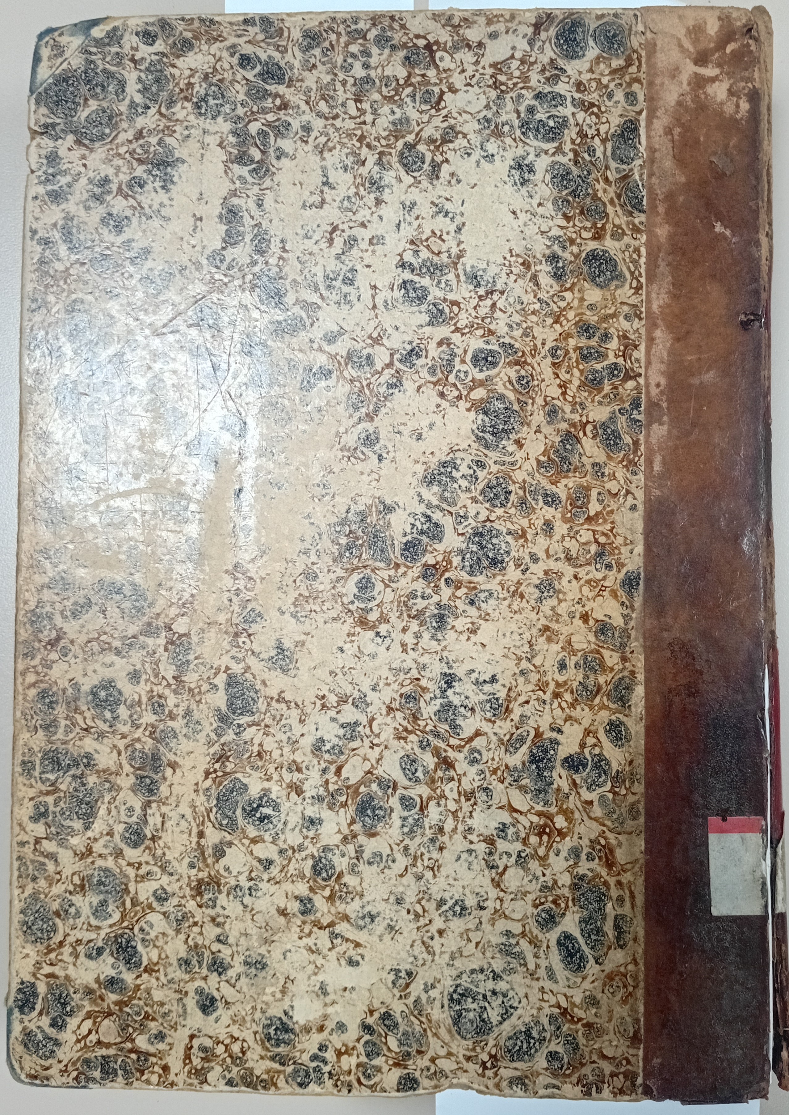 Cubierta [Posterior]