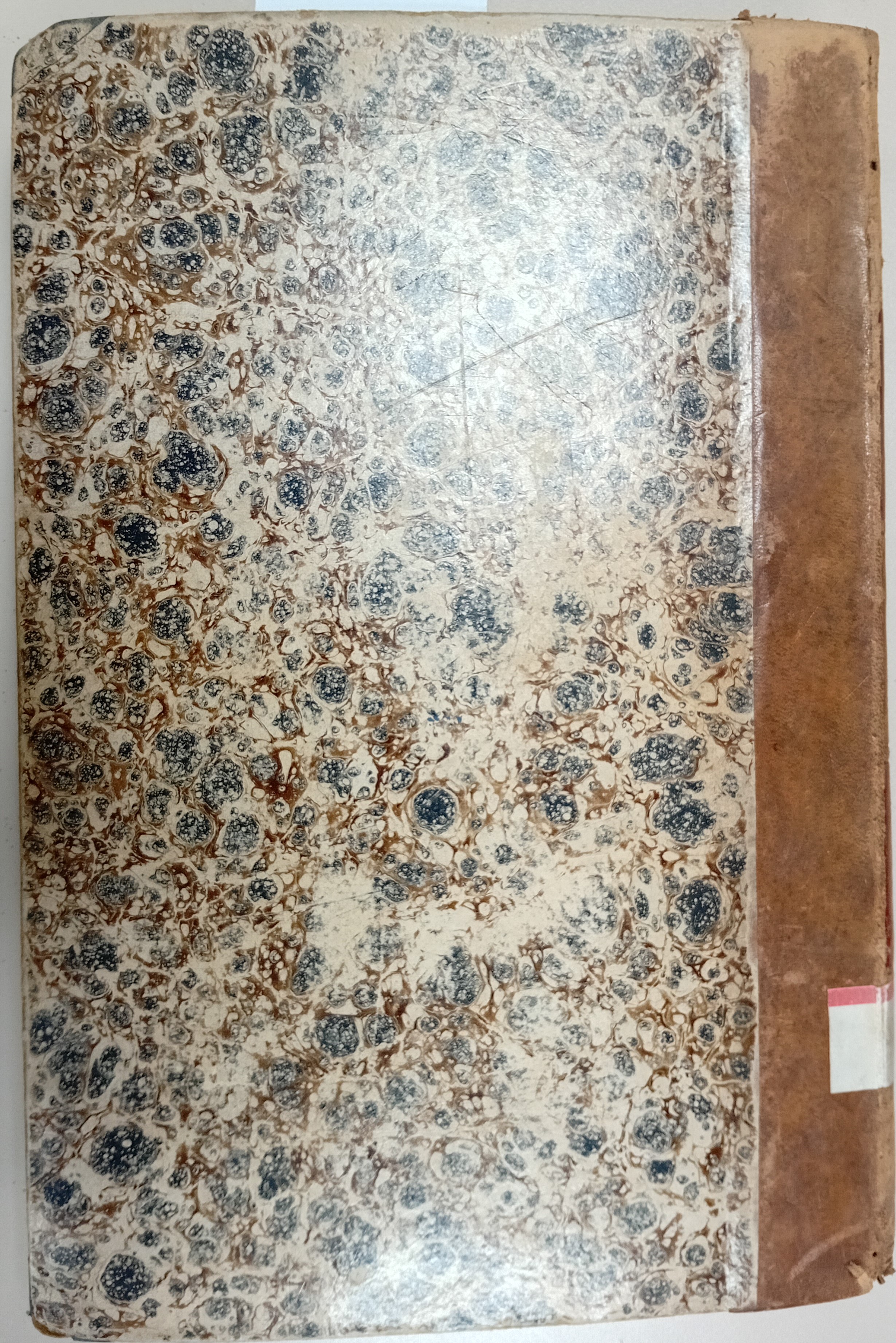 Cubierta [Posterior]