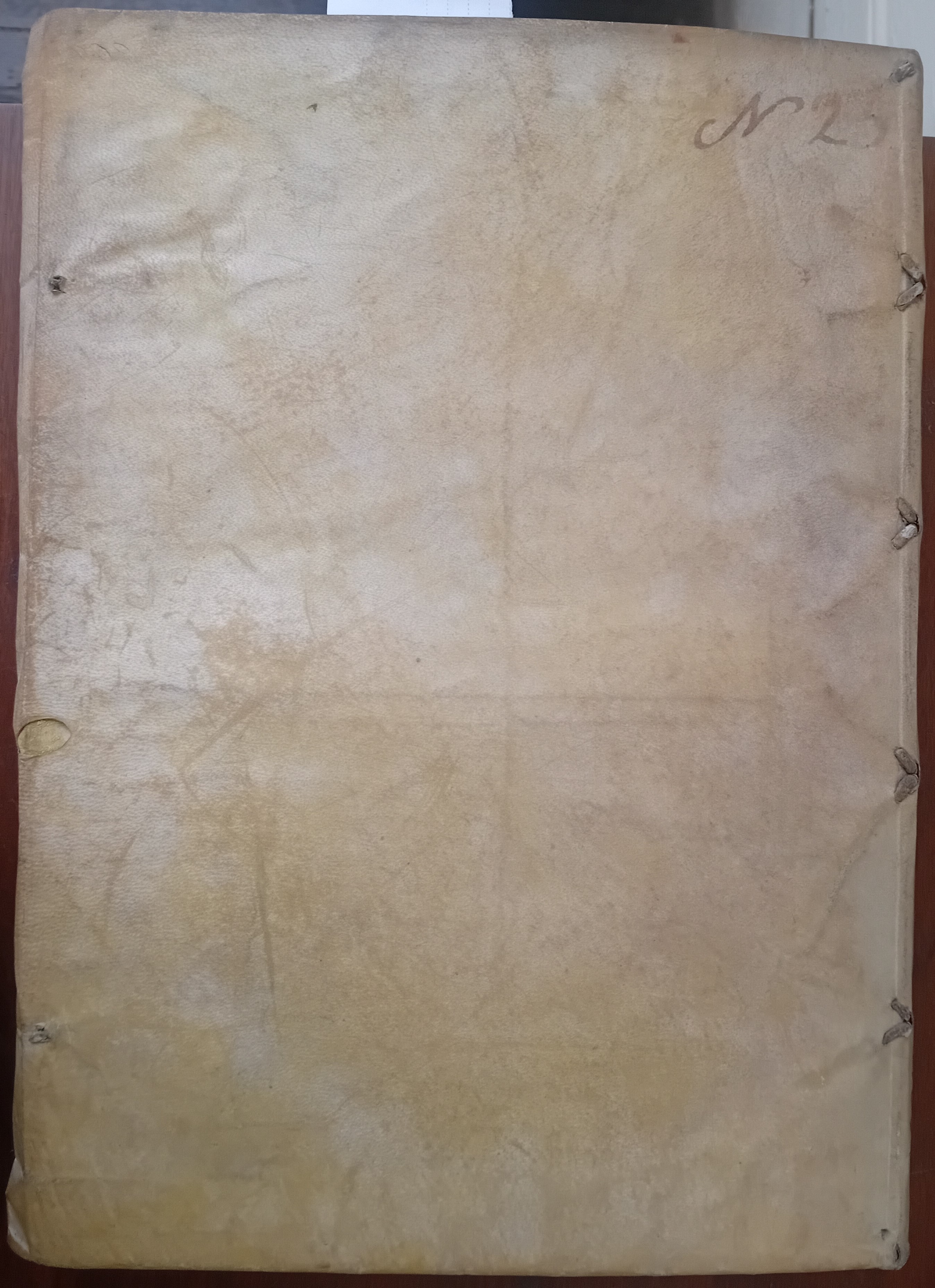 Cubierta [Posterior]