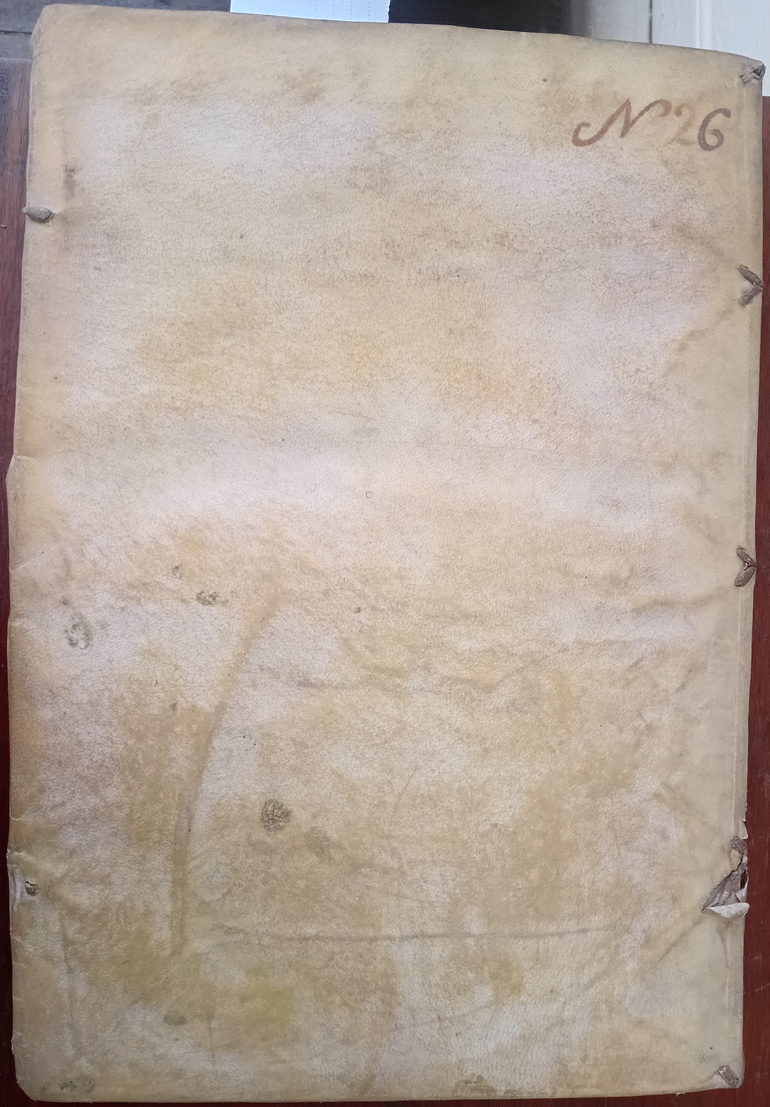 Cubierta [Posterior]