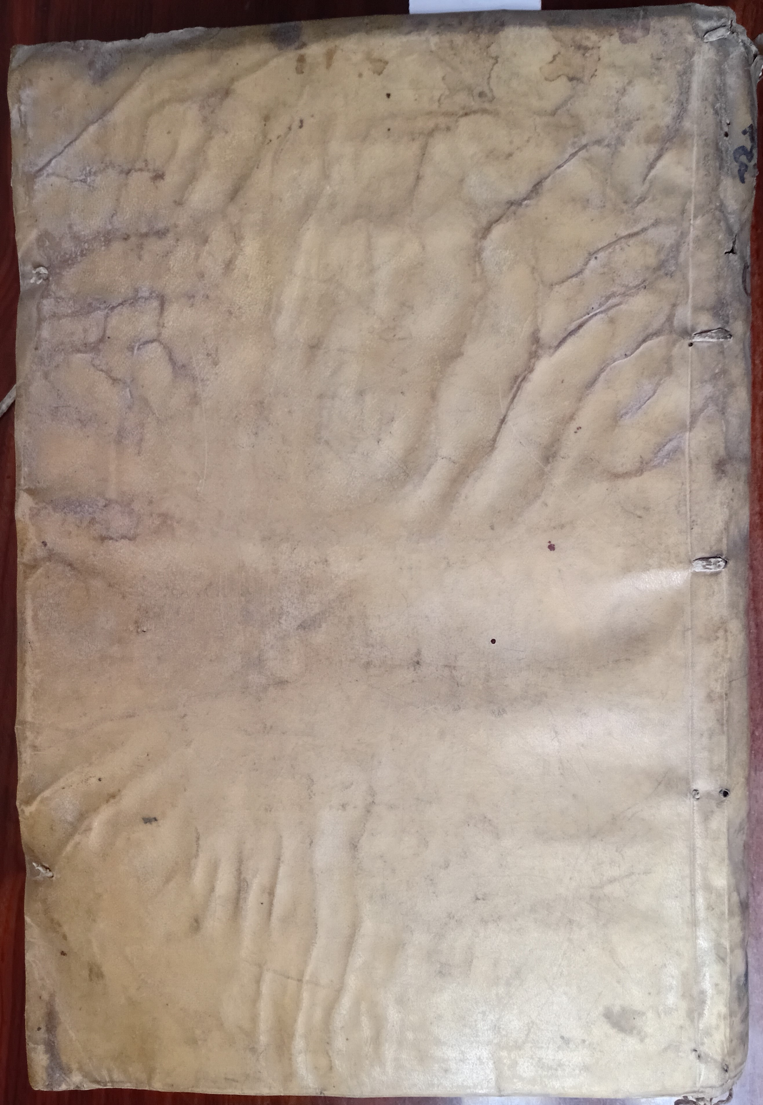 Cubierta [Posterior]