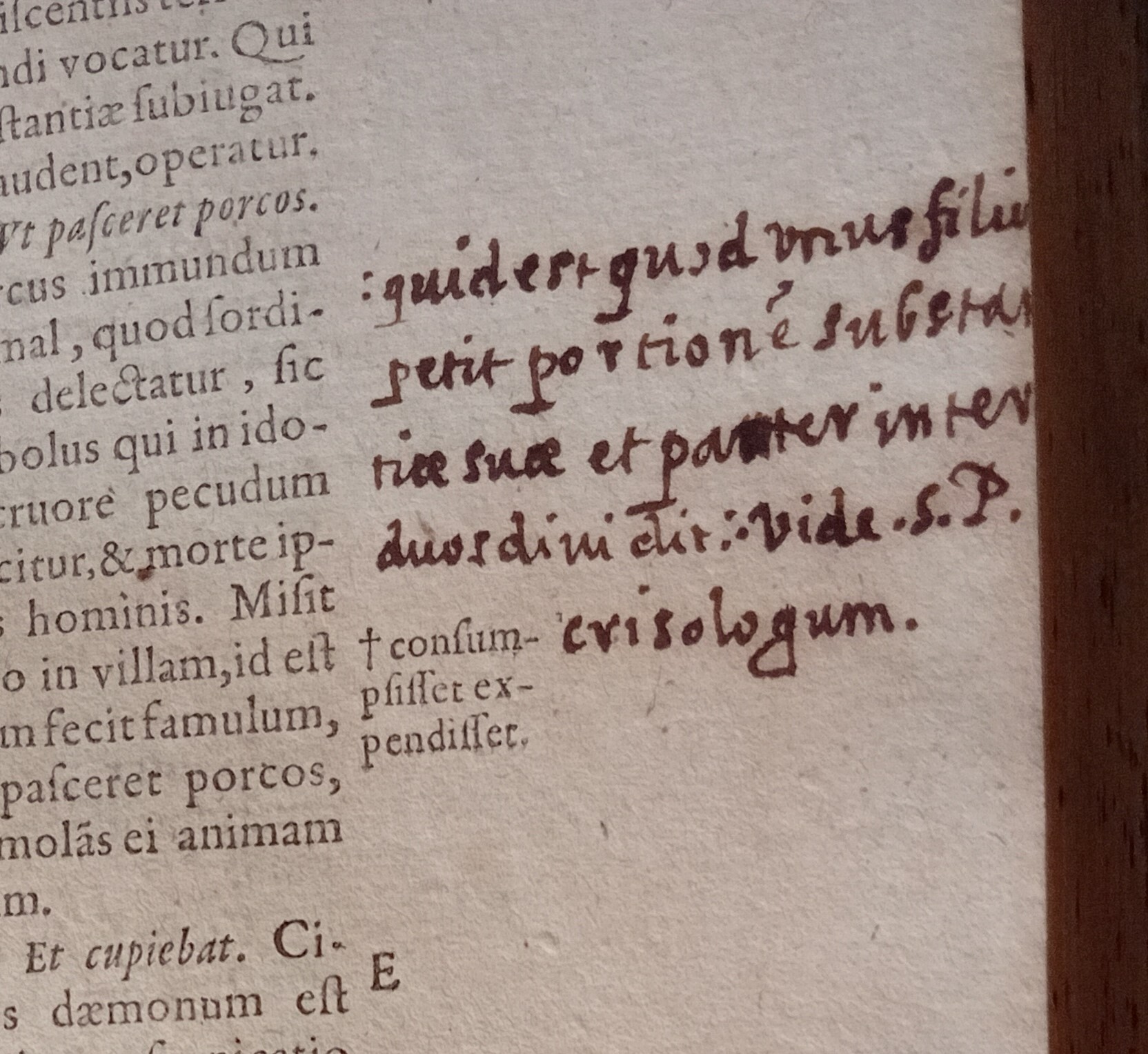 Anotaciones Manuscritas