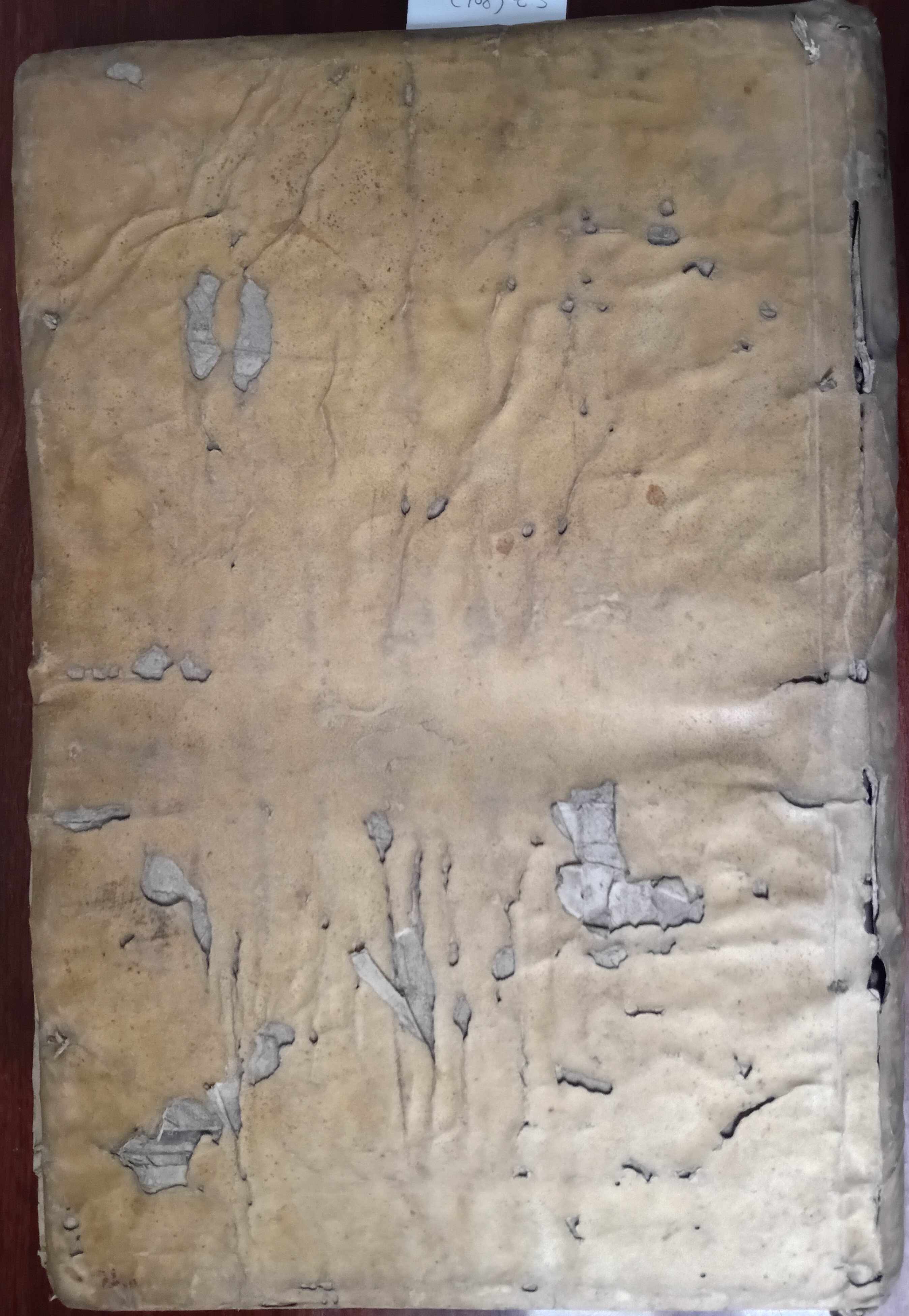 Cubierta [Posterior]