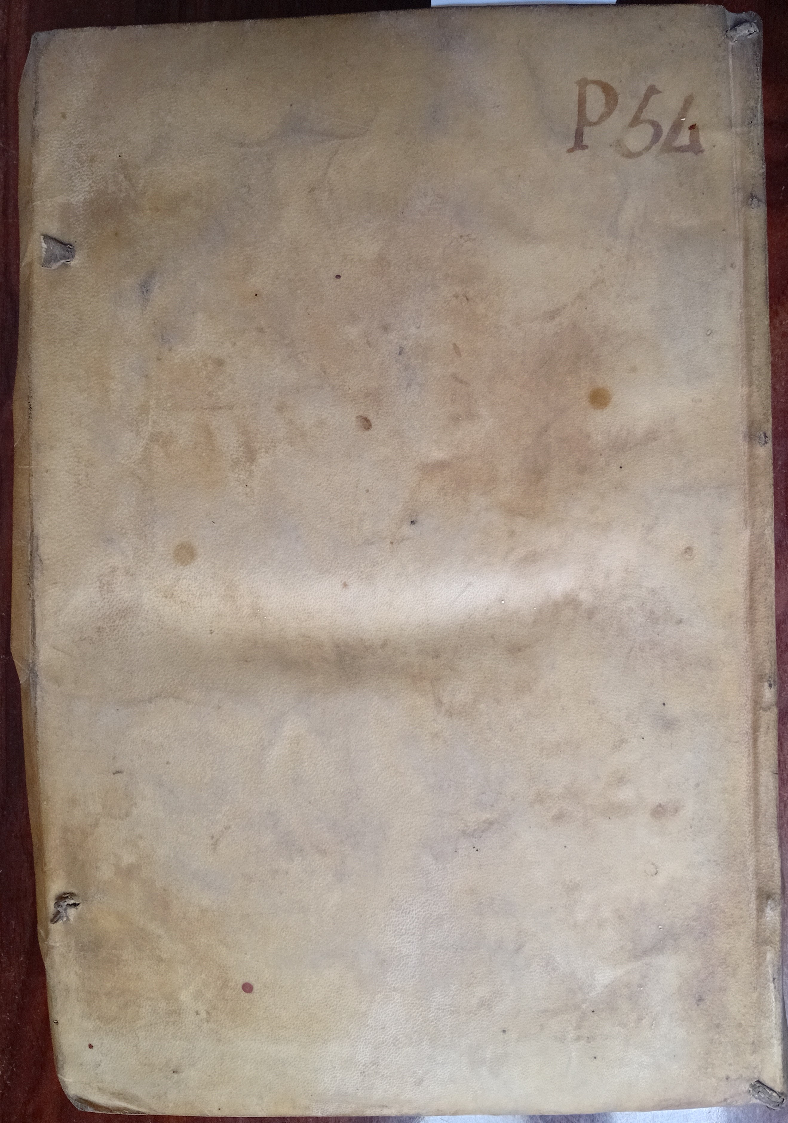 Cubierta [Posterior]