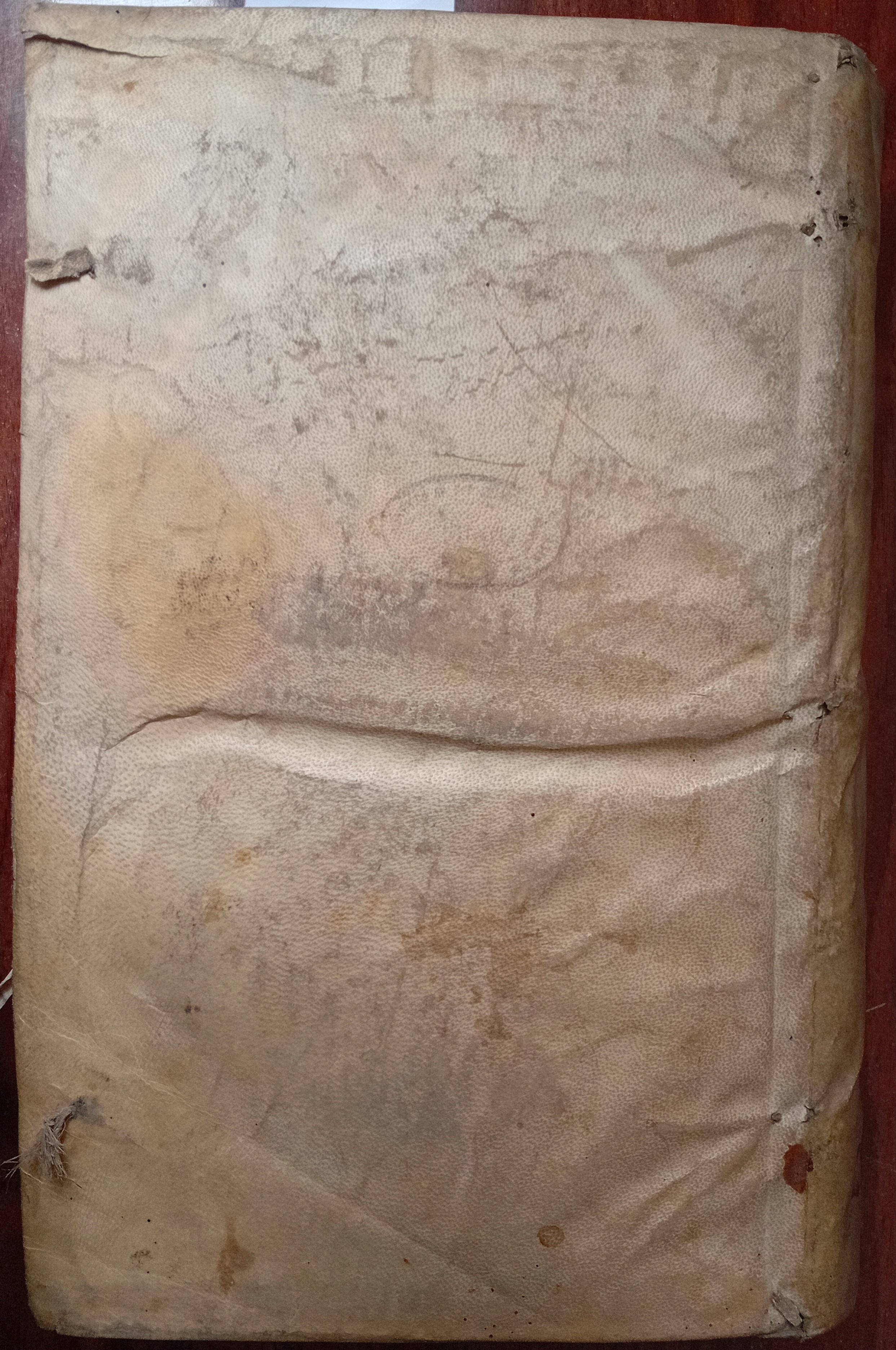 Cubierta [Posterior]