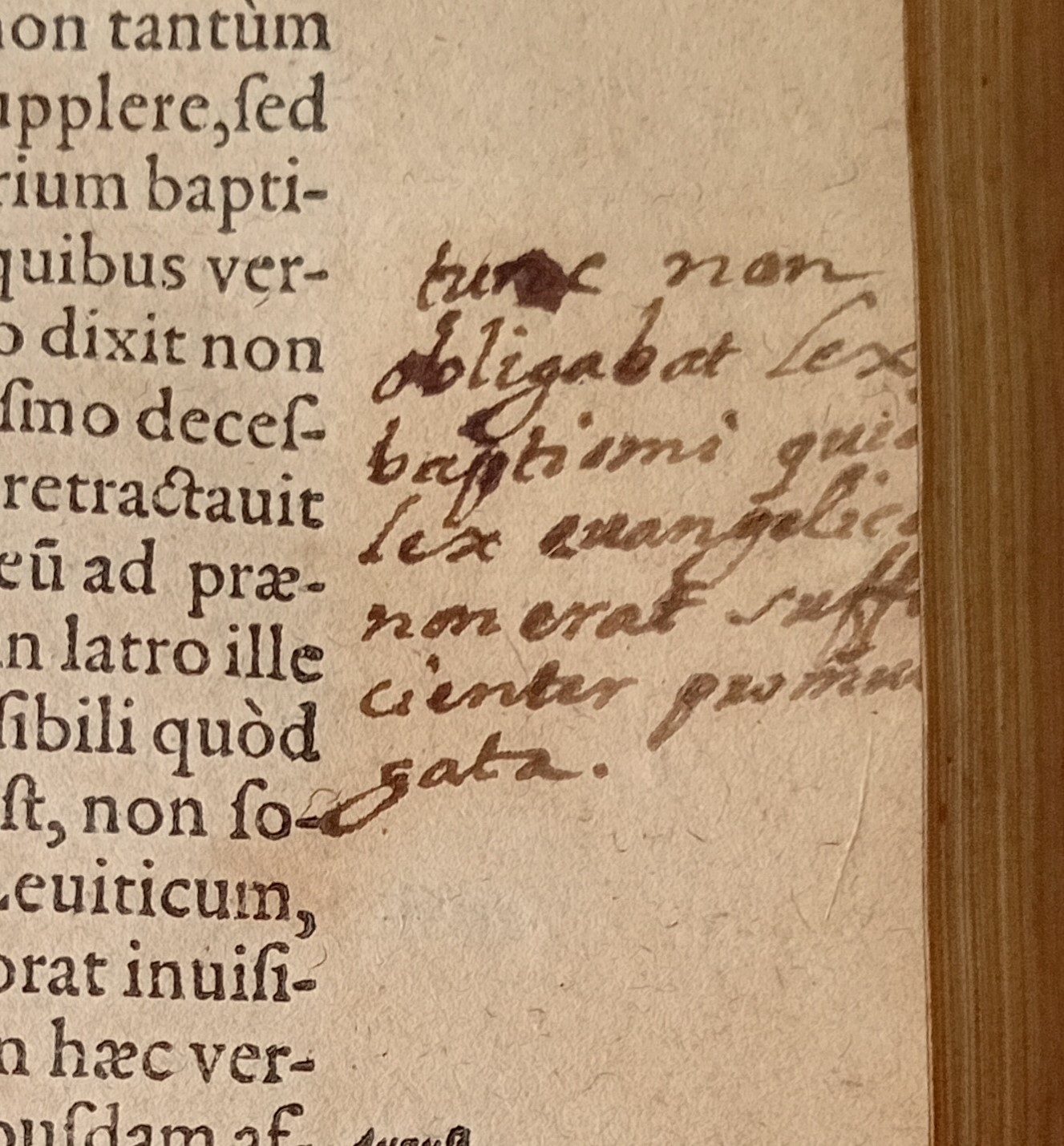 Anotaciones Manuscritas