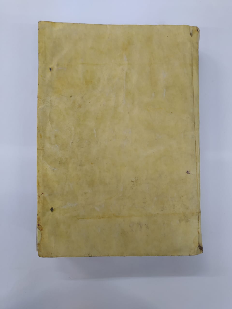 Cubierta [Posterior]