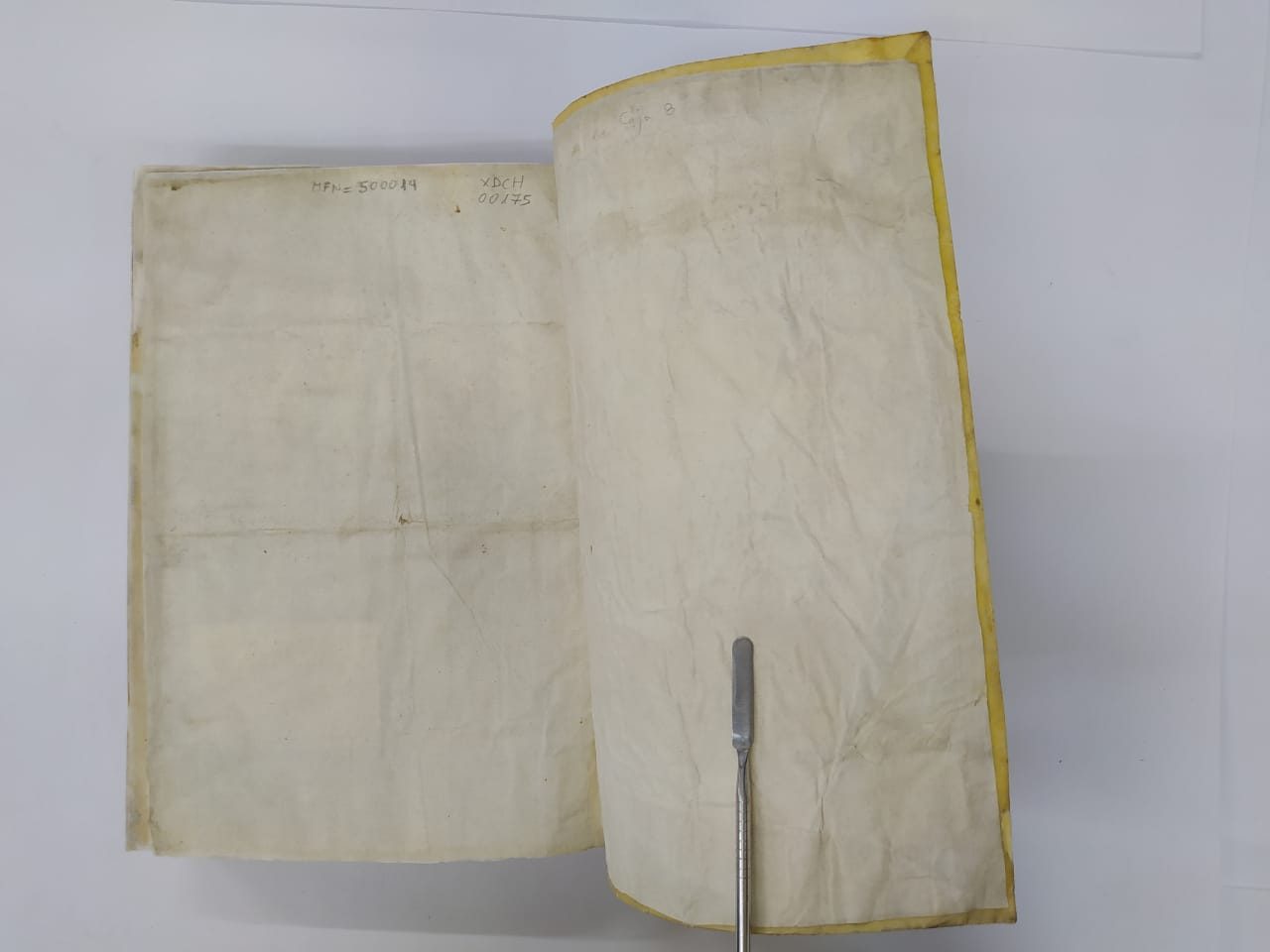 Anotaciones Manuscritas