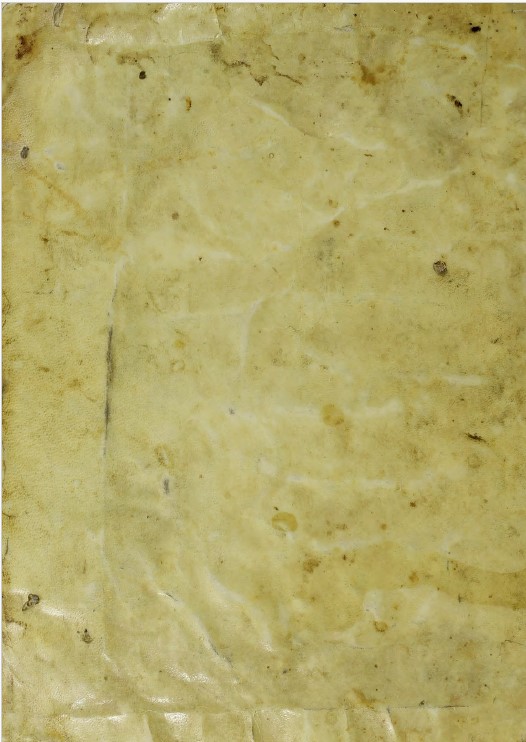 Cubierta [Posterior]