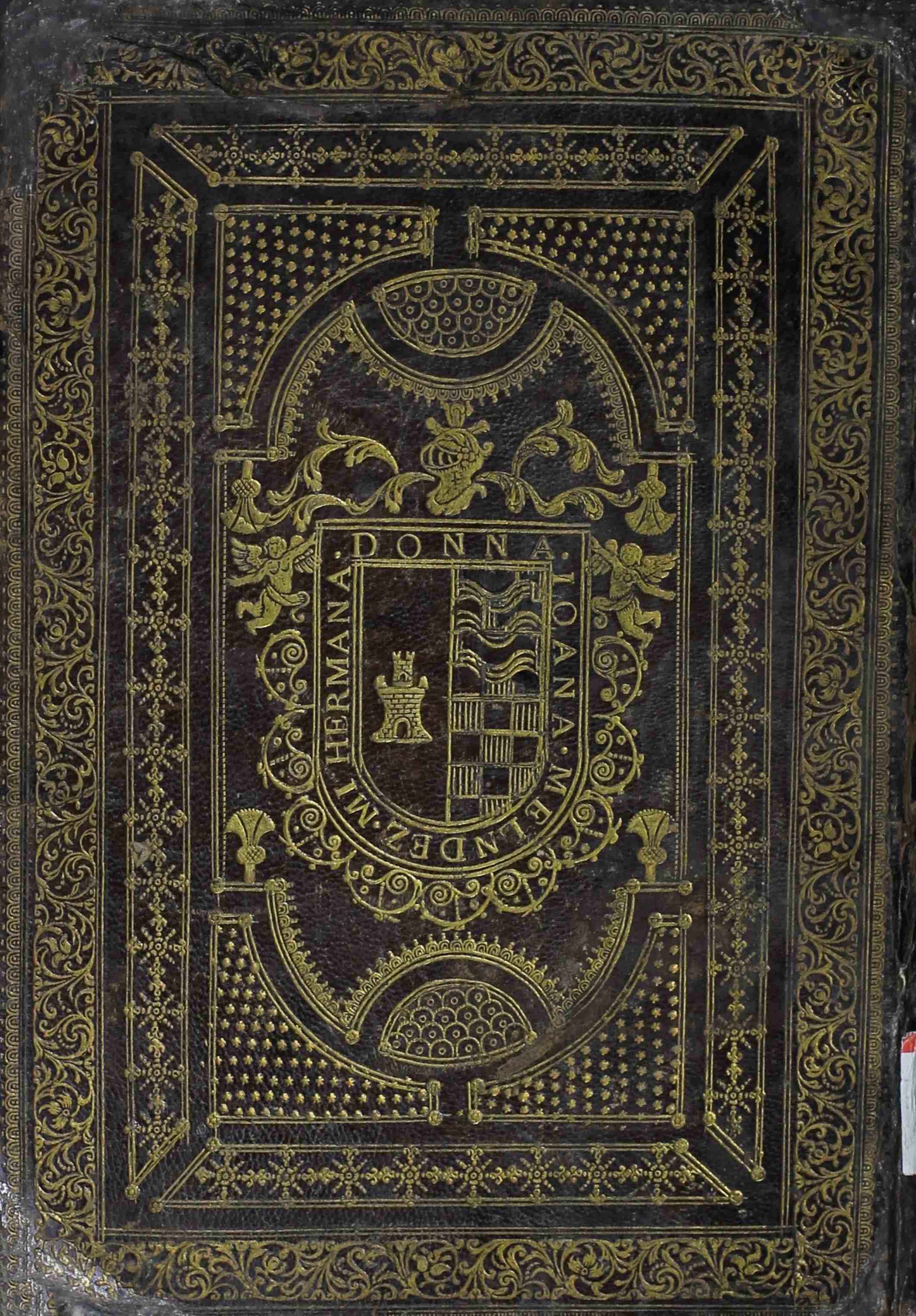 Cubierta [Posterior]