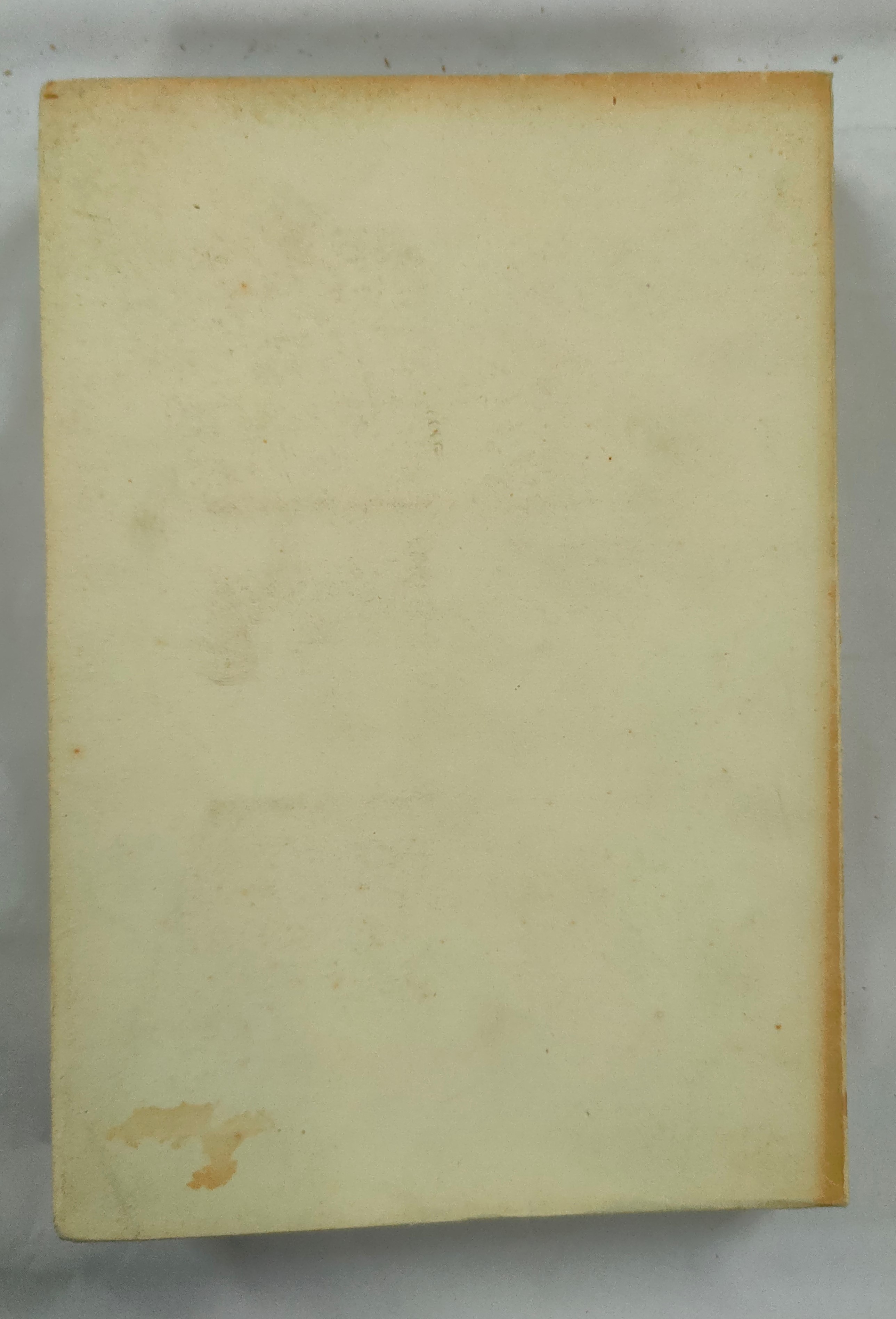 Cubierta [Posterior]