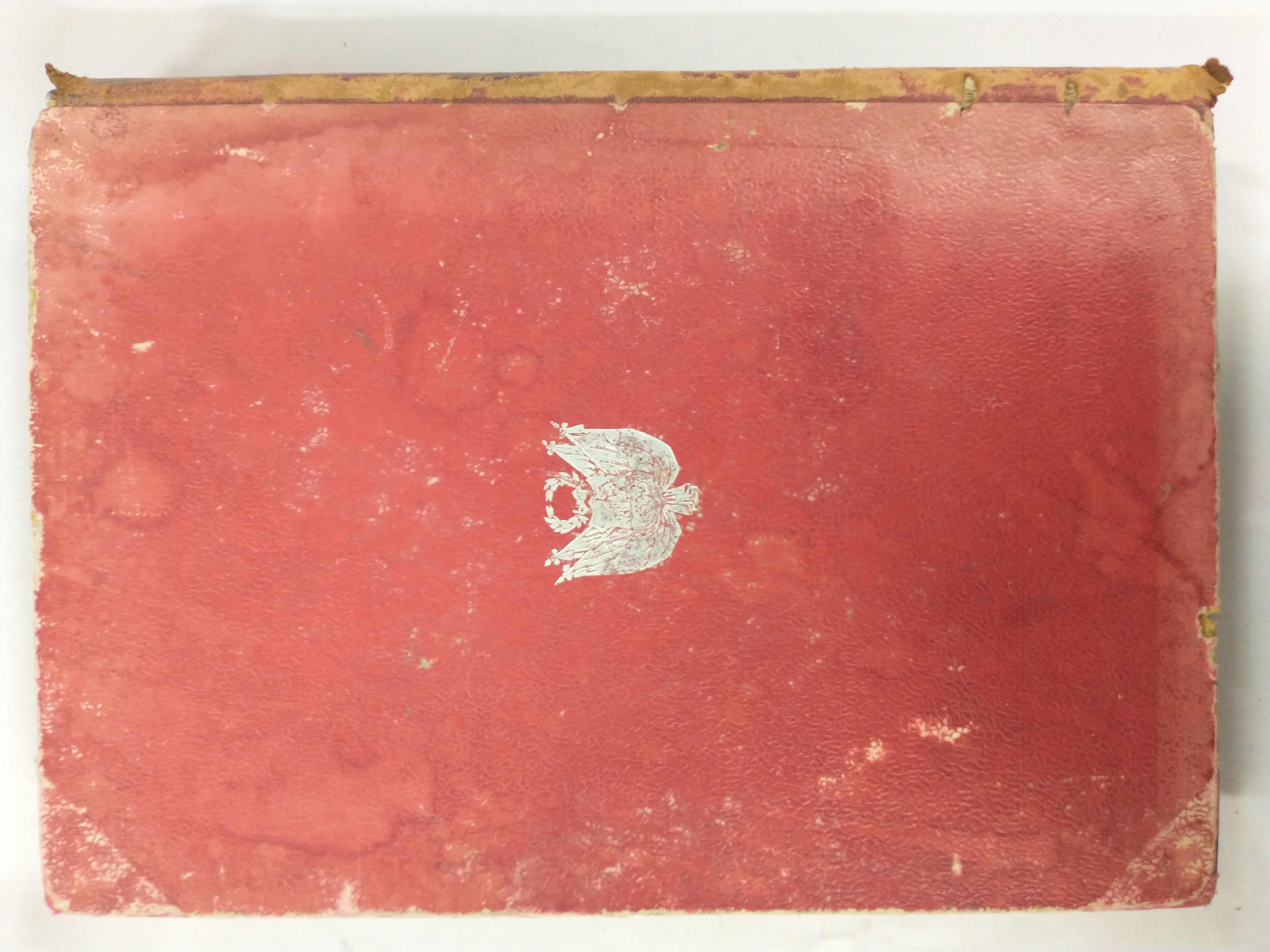 Cubierta [Posterior]