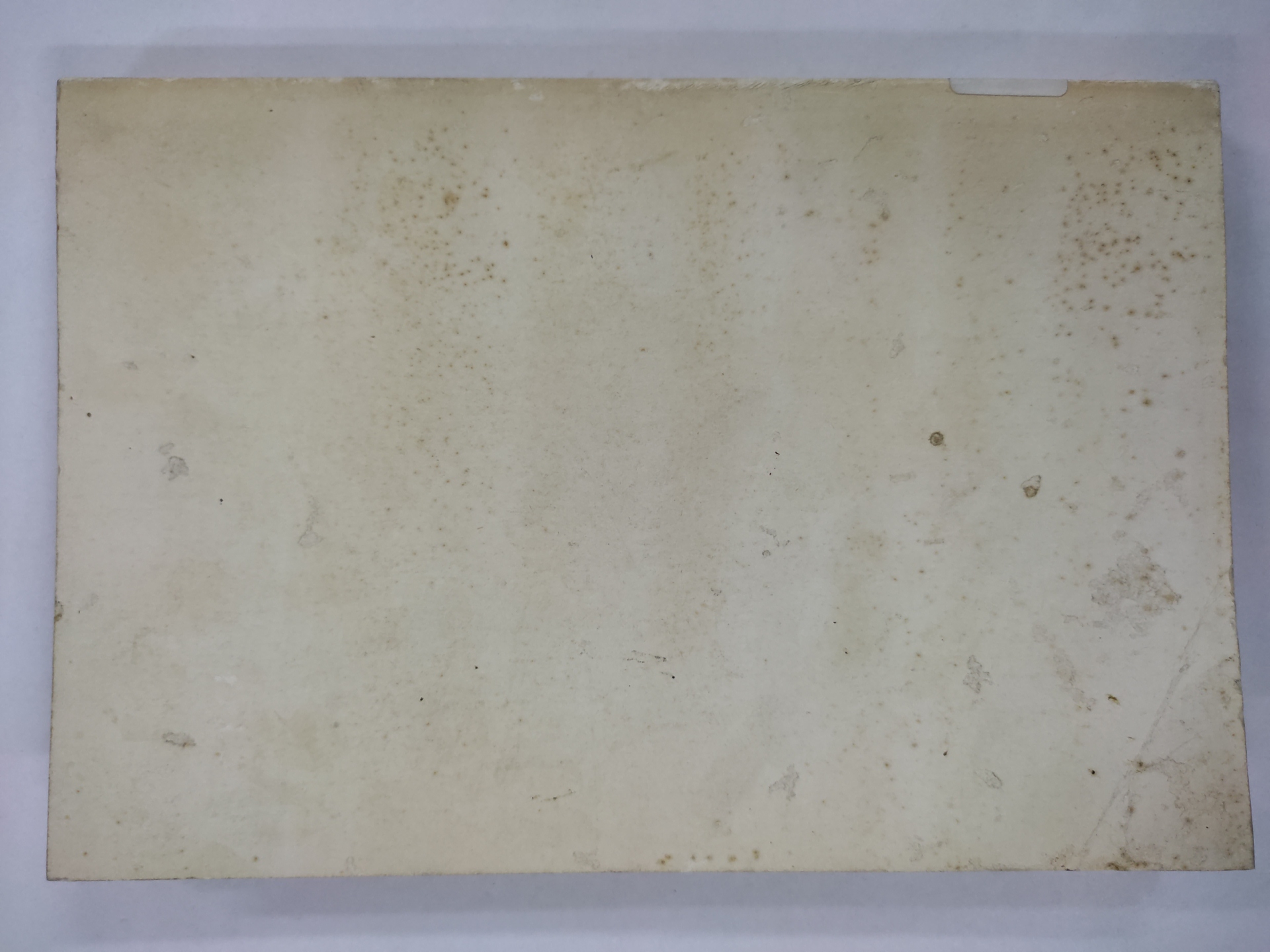 Cubierta [Posterior]