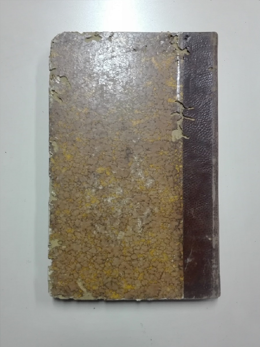Cubierta [Posterior]