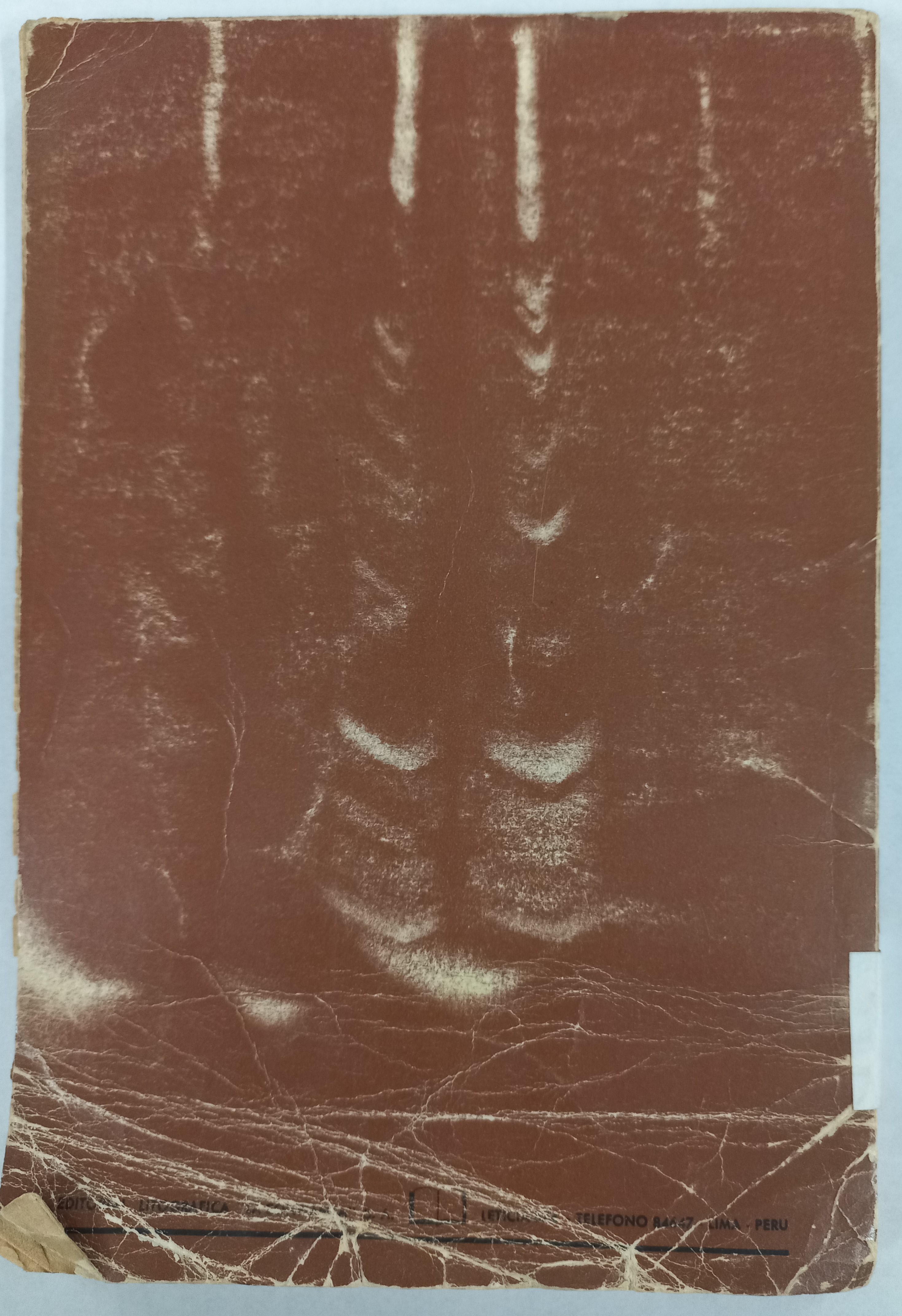 Cubierta [Posterior]