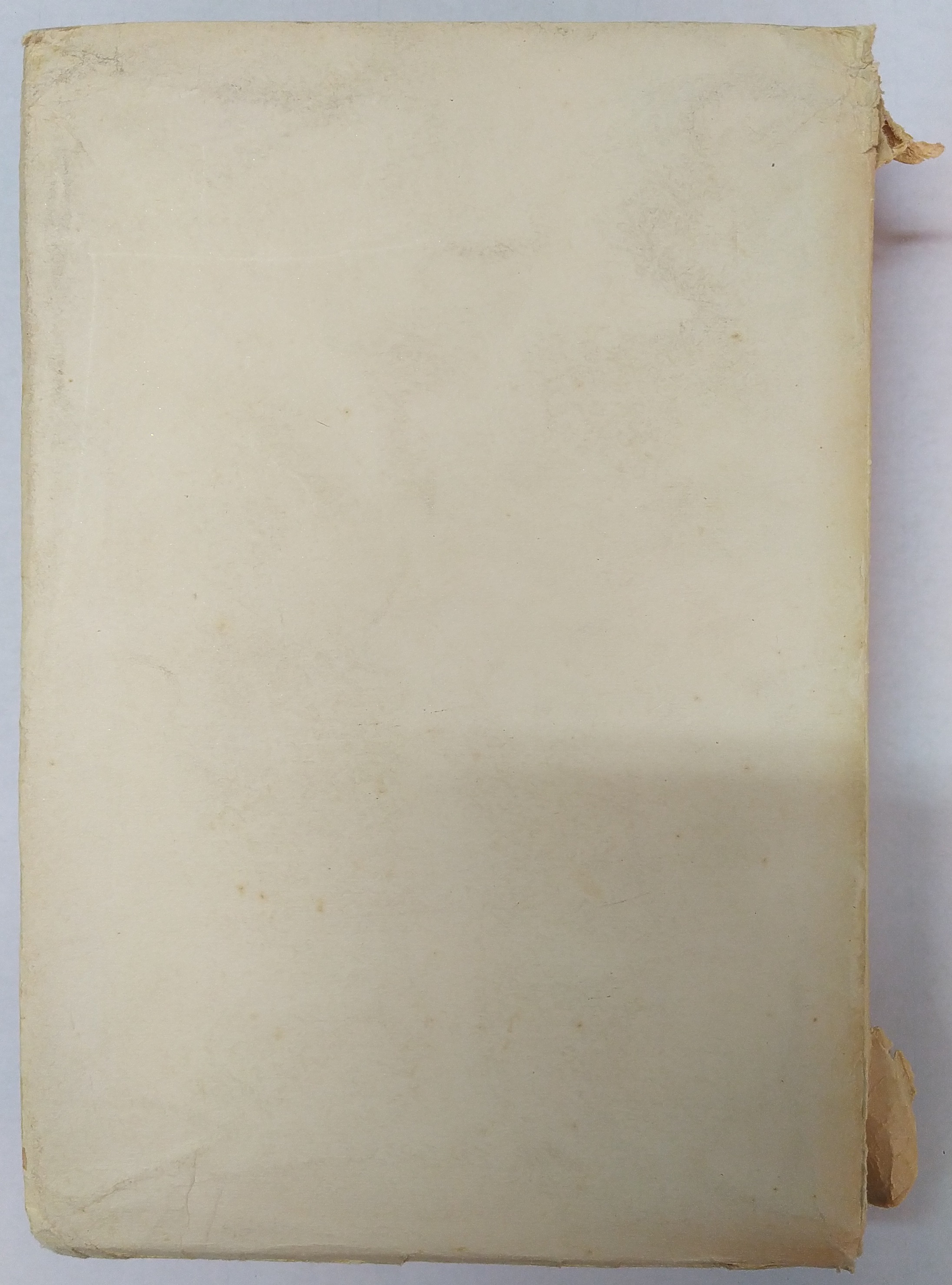 Cubierta [Posterior]