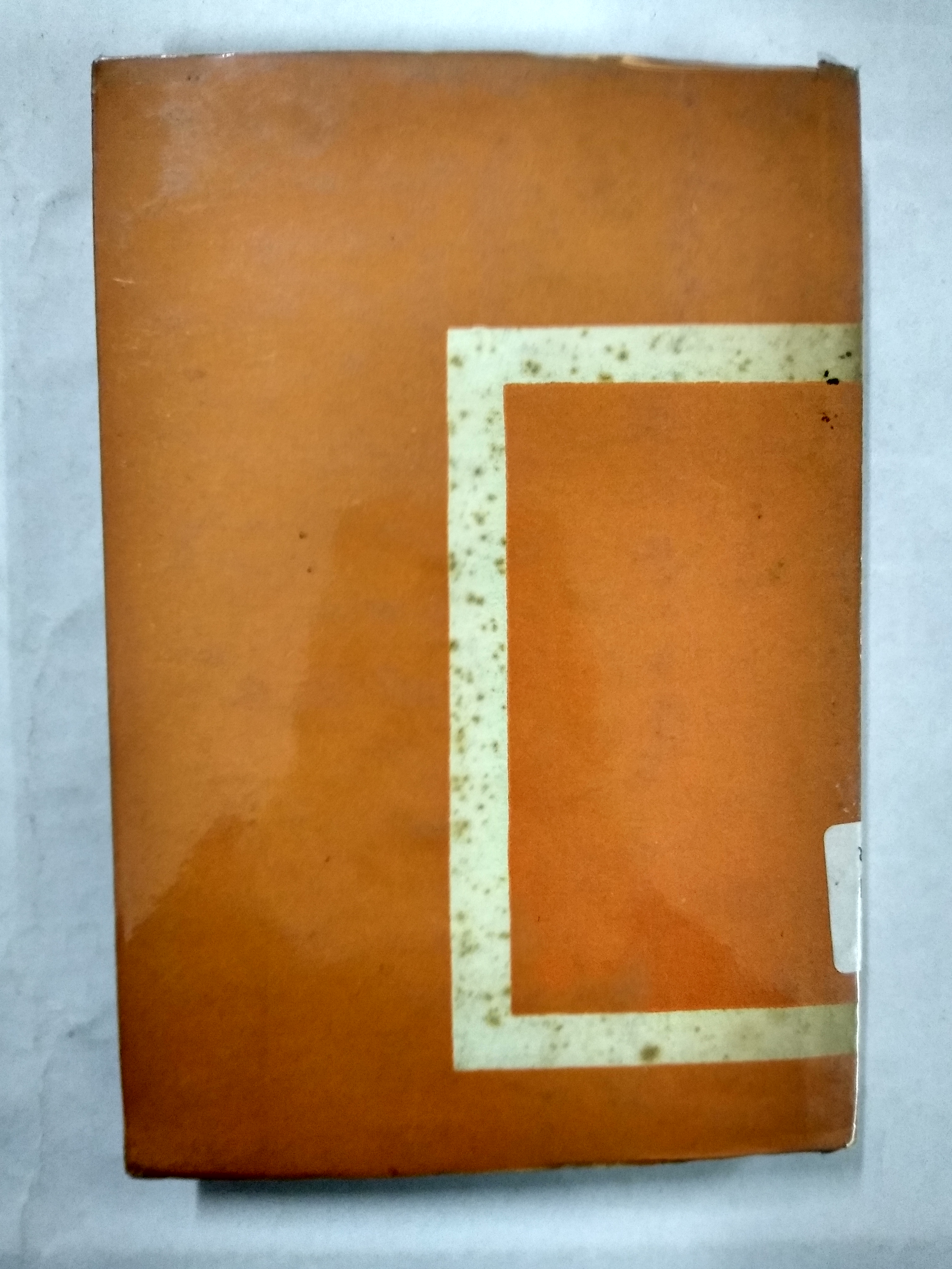 Cubierta [Posterior]