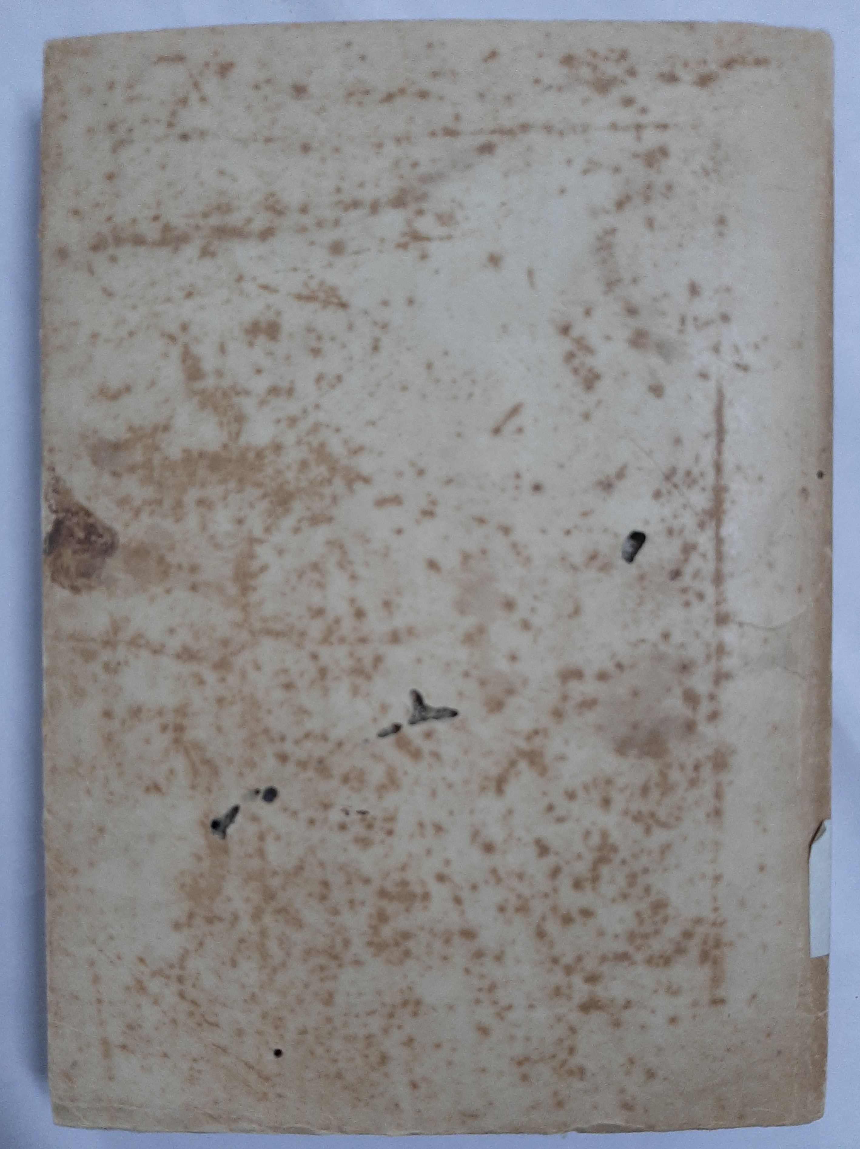 Cubierta [Posterior]