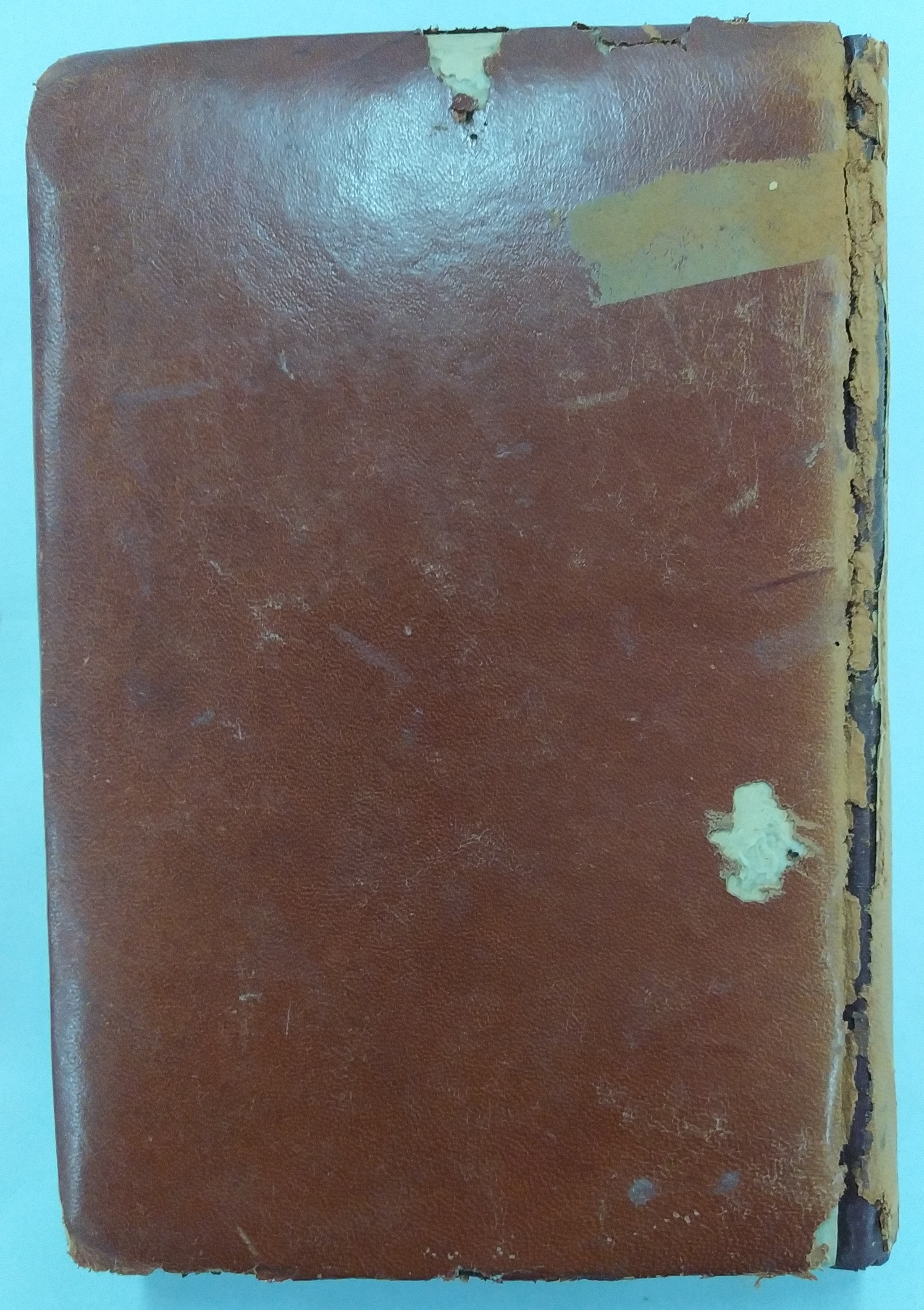 Cubierta [Posterior]