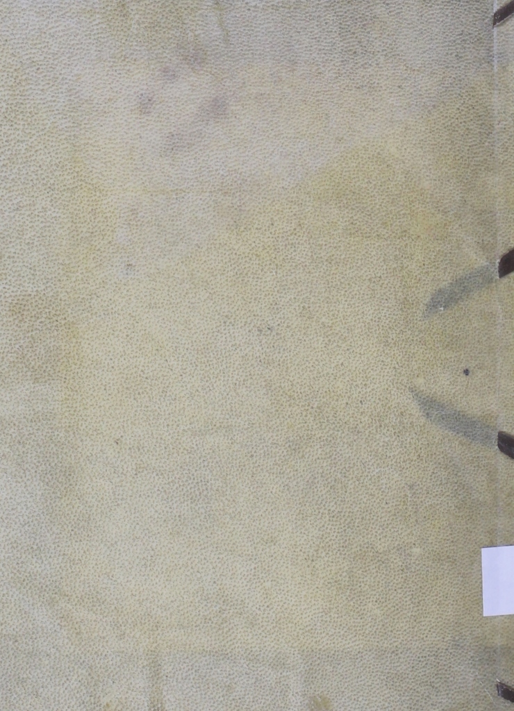 Cubierta [Posterior]