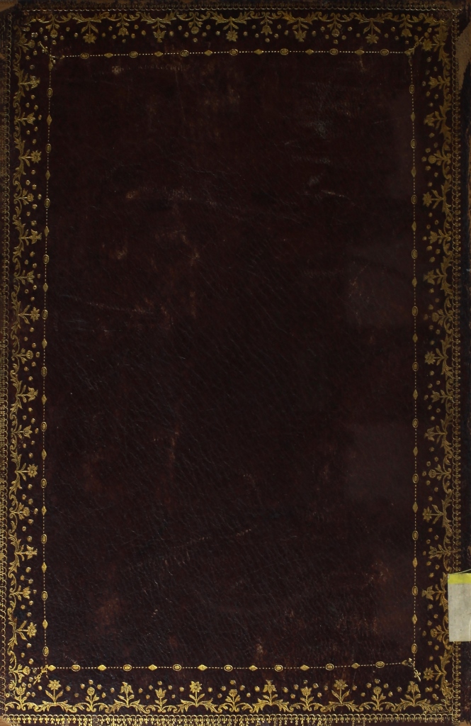 Cubierta [Posterior]