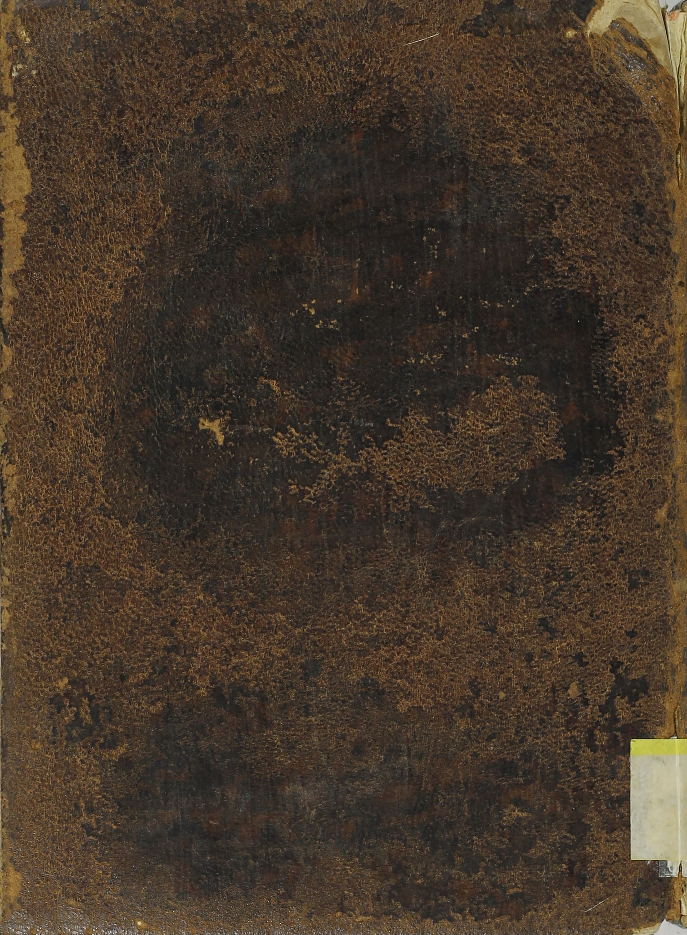 Cubierta [Posterior]