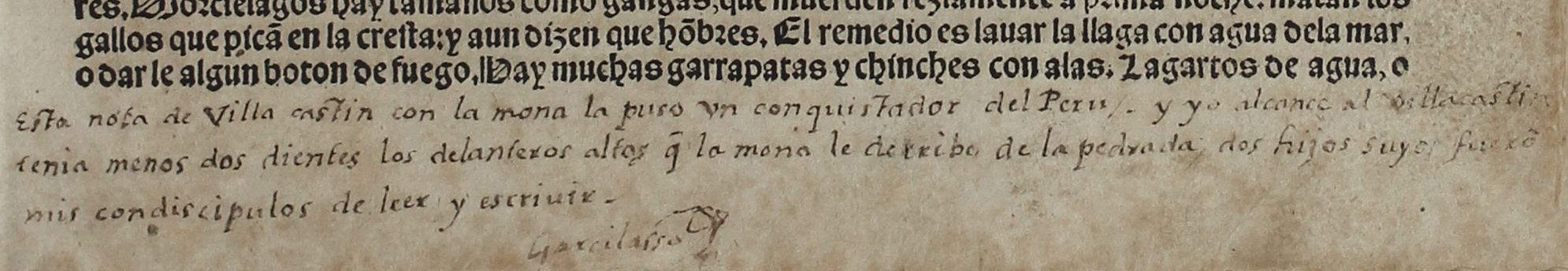 Anotaciones Manuscritas