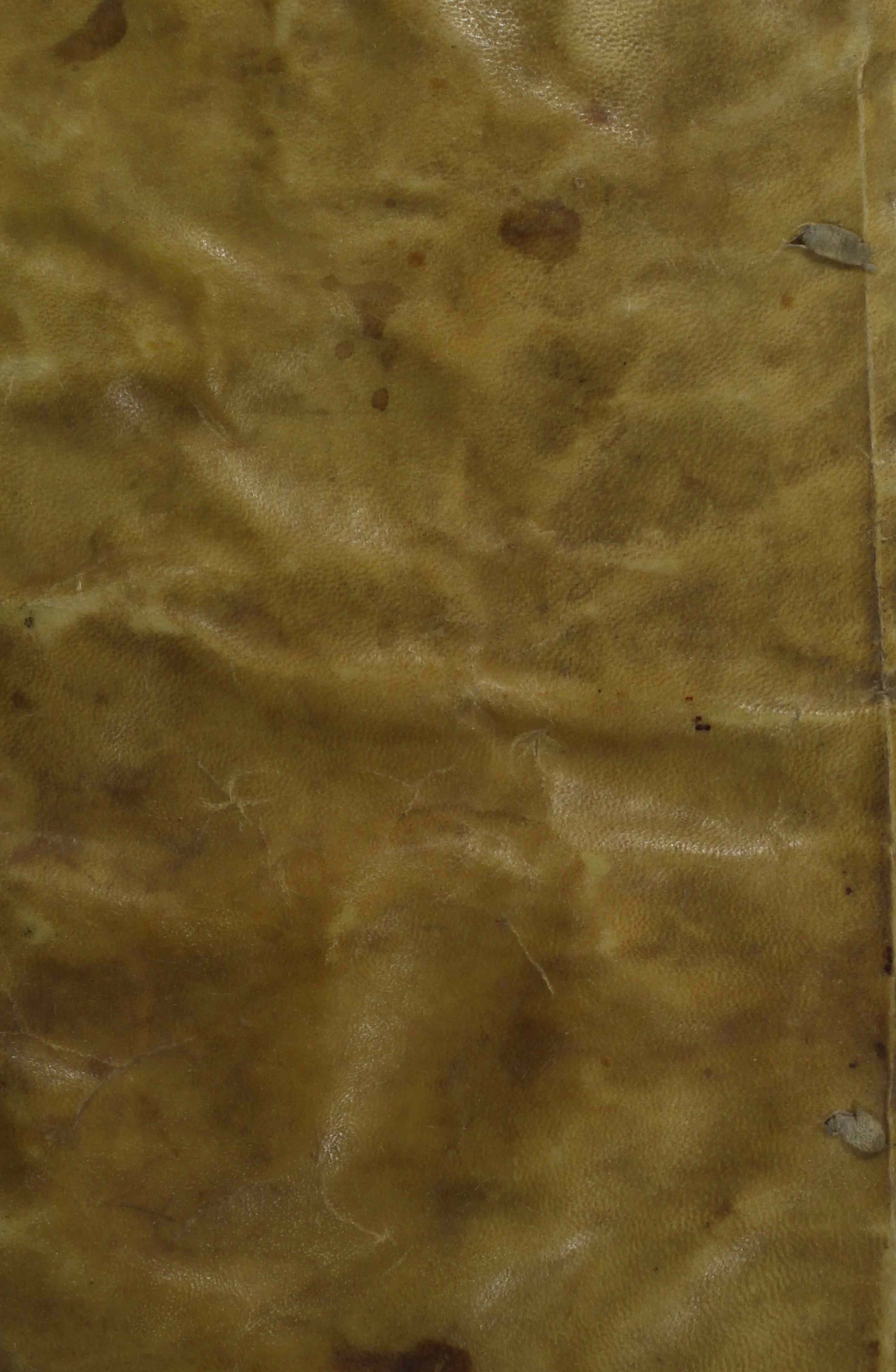 Cubierta [Anterior]