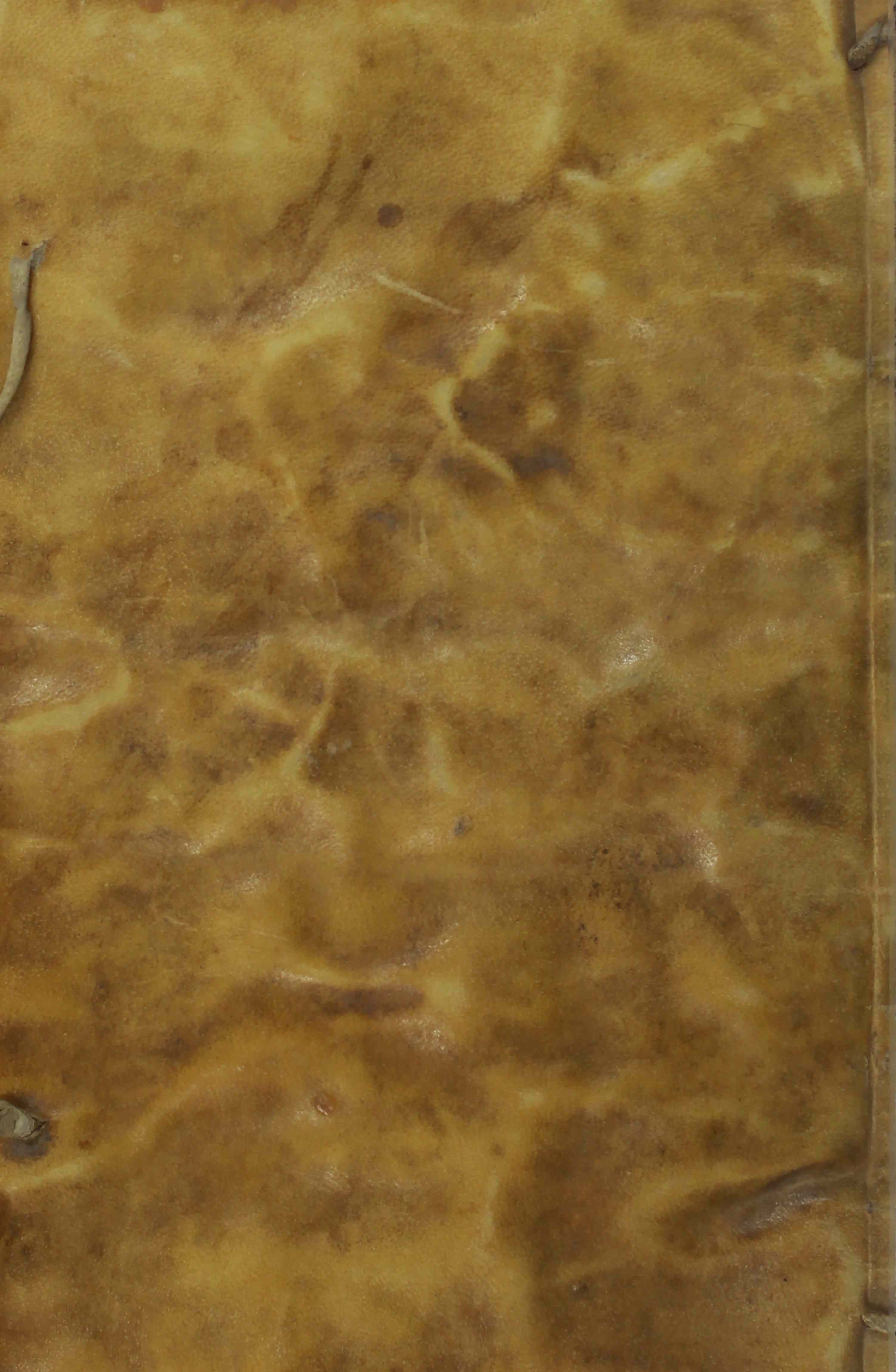 Cubierta [Posterior]